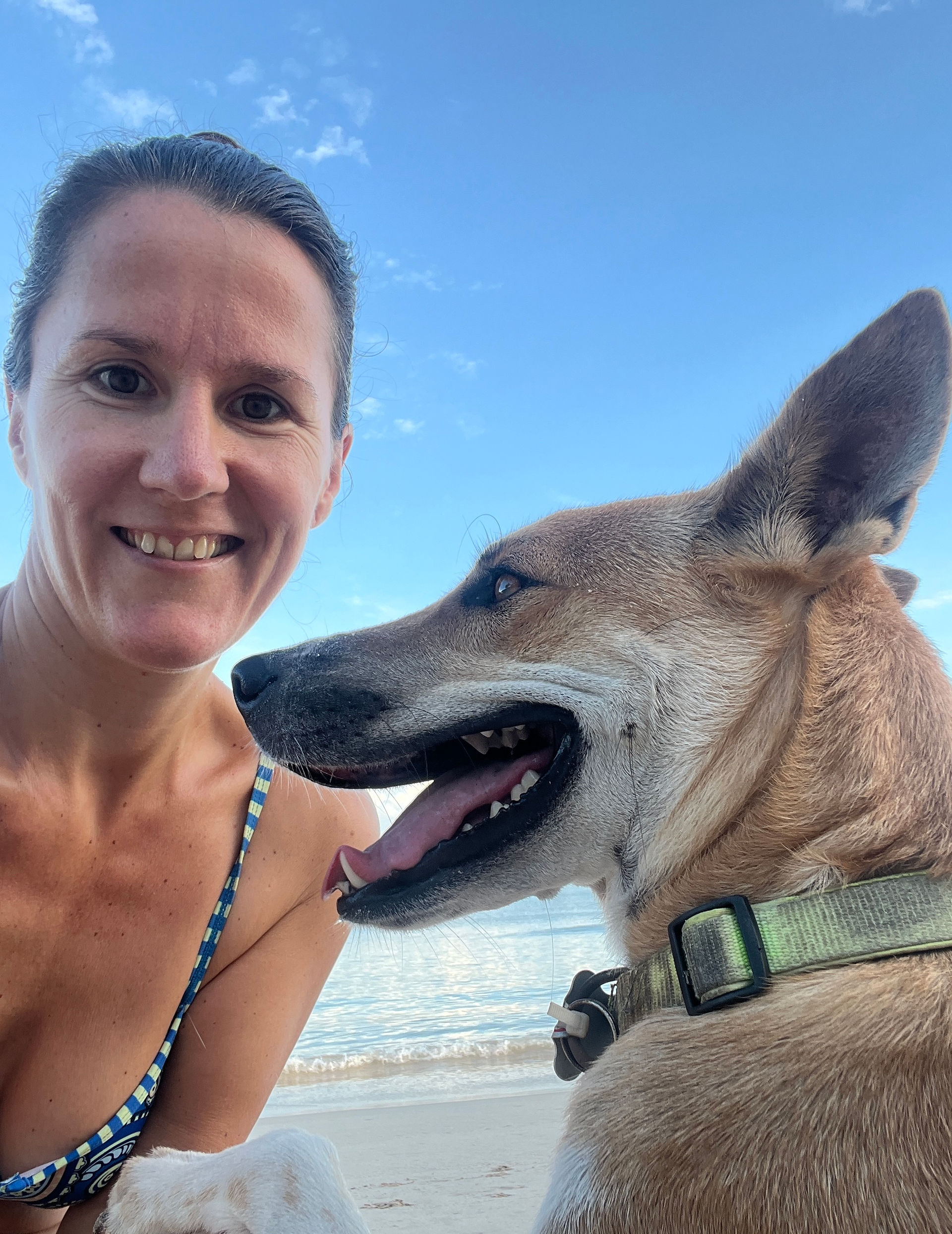 Omslagjaar XPLORid Nomadenbestaan: Langkawi house and dog sit