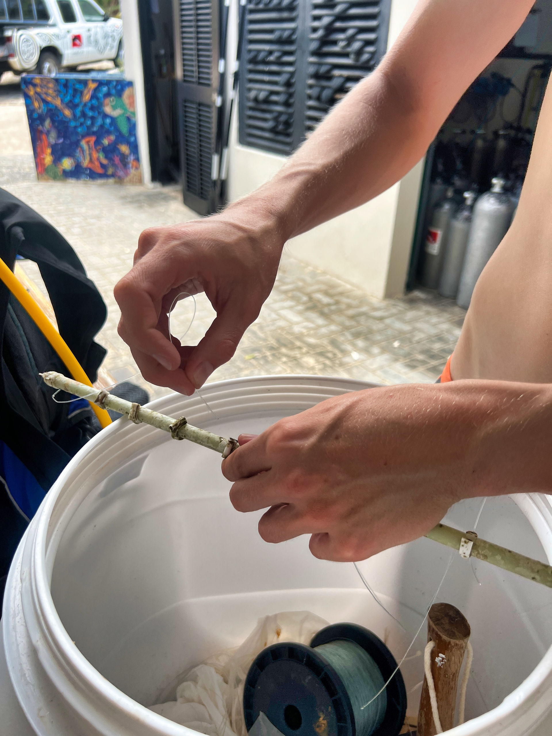 Hulpproject BRANCH Coral | Voorbereiding koraal planten in Curaçao