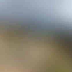 XPLORid Nomadic Lifestyle: Croatian dreams Jogging