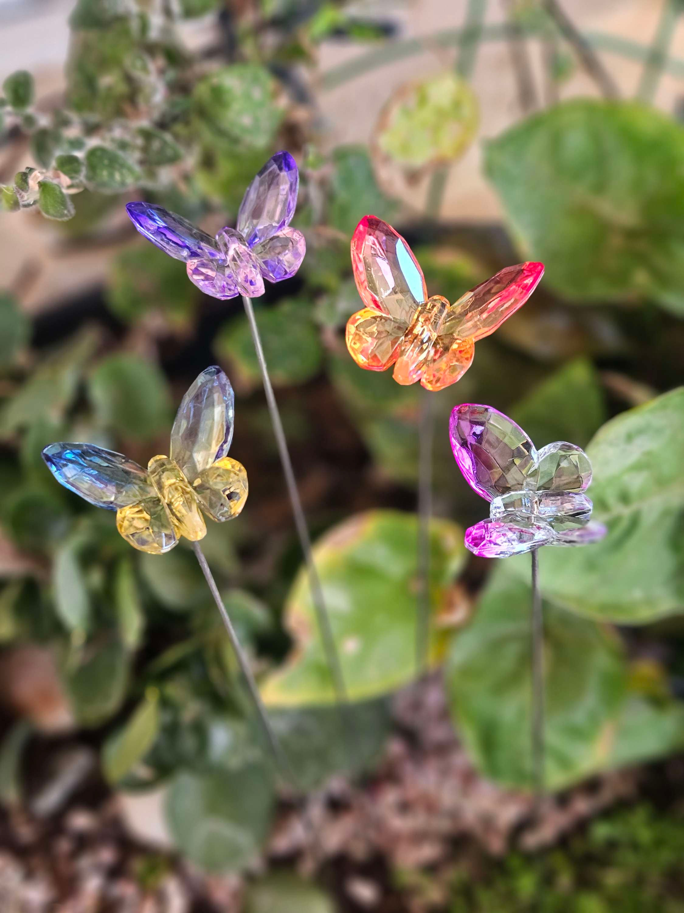 Acrylic butterfly stakes