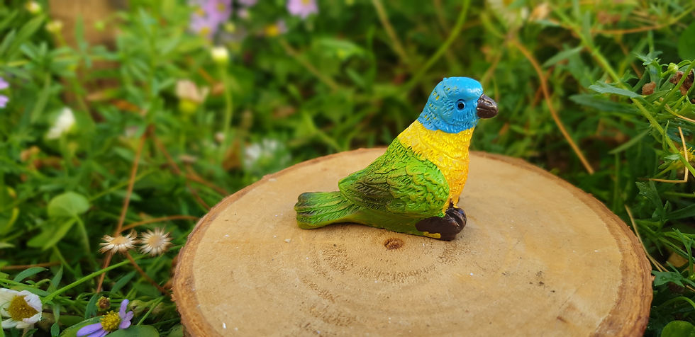 Thumbnail: Australian birds