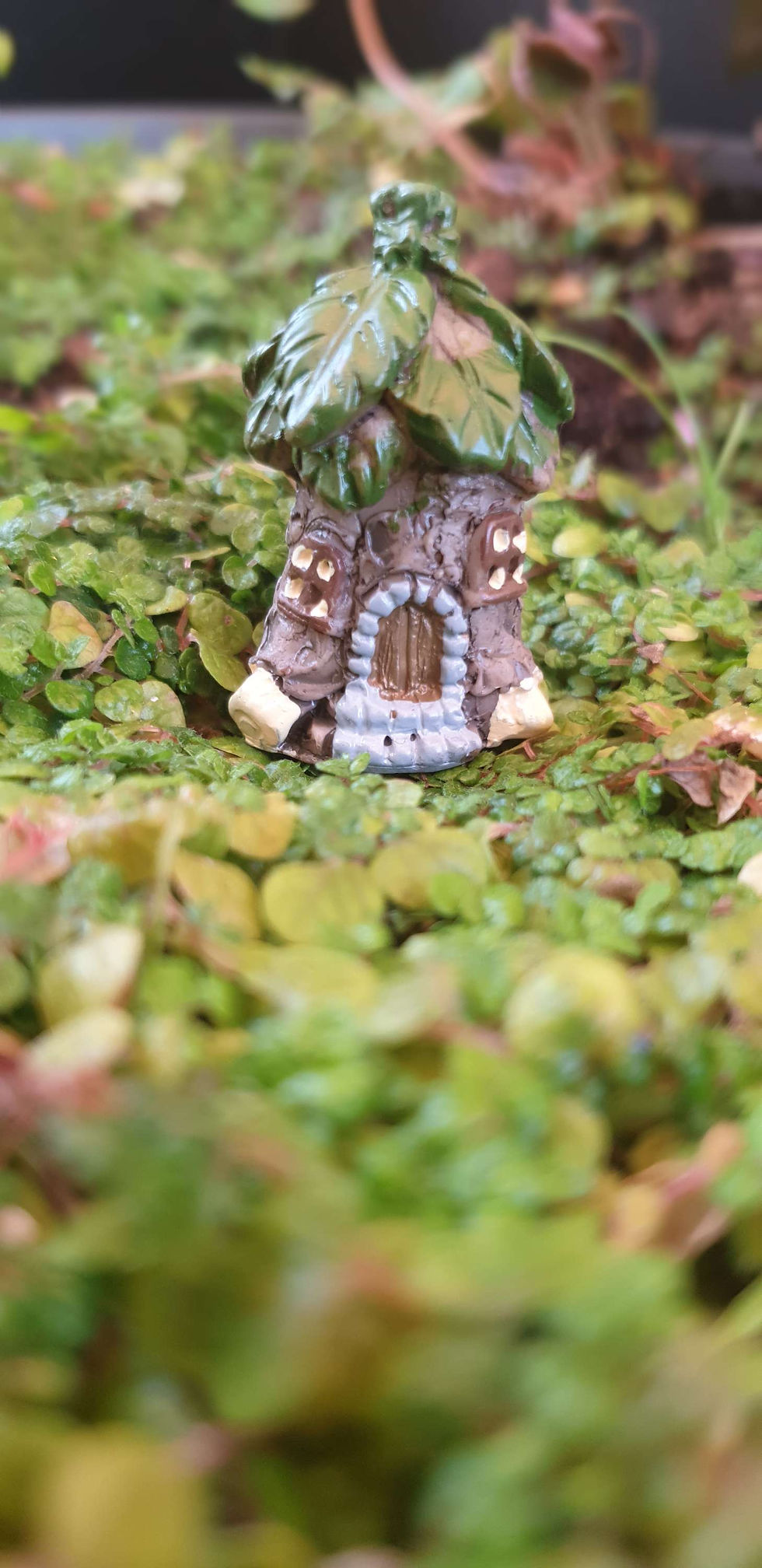 Thumbnail: Teeny fairy house