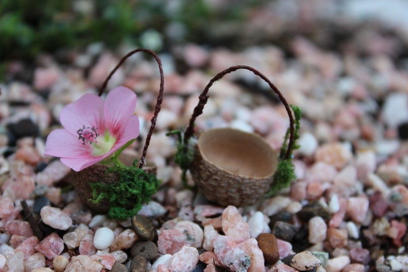 Thumbnail: Acorn Basket