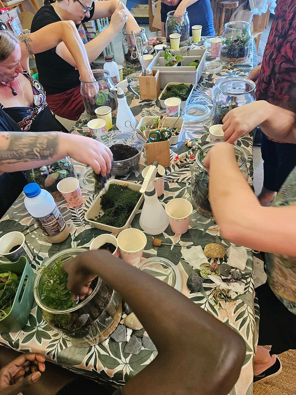 Thumbnail: July Terrarium Workshop