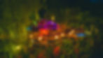Selva Armonia / Private Retreat & Event Venue in Costa Rica