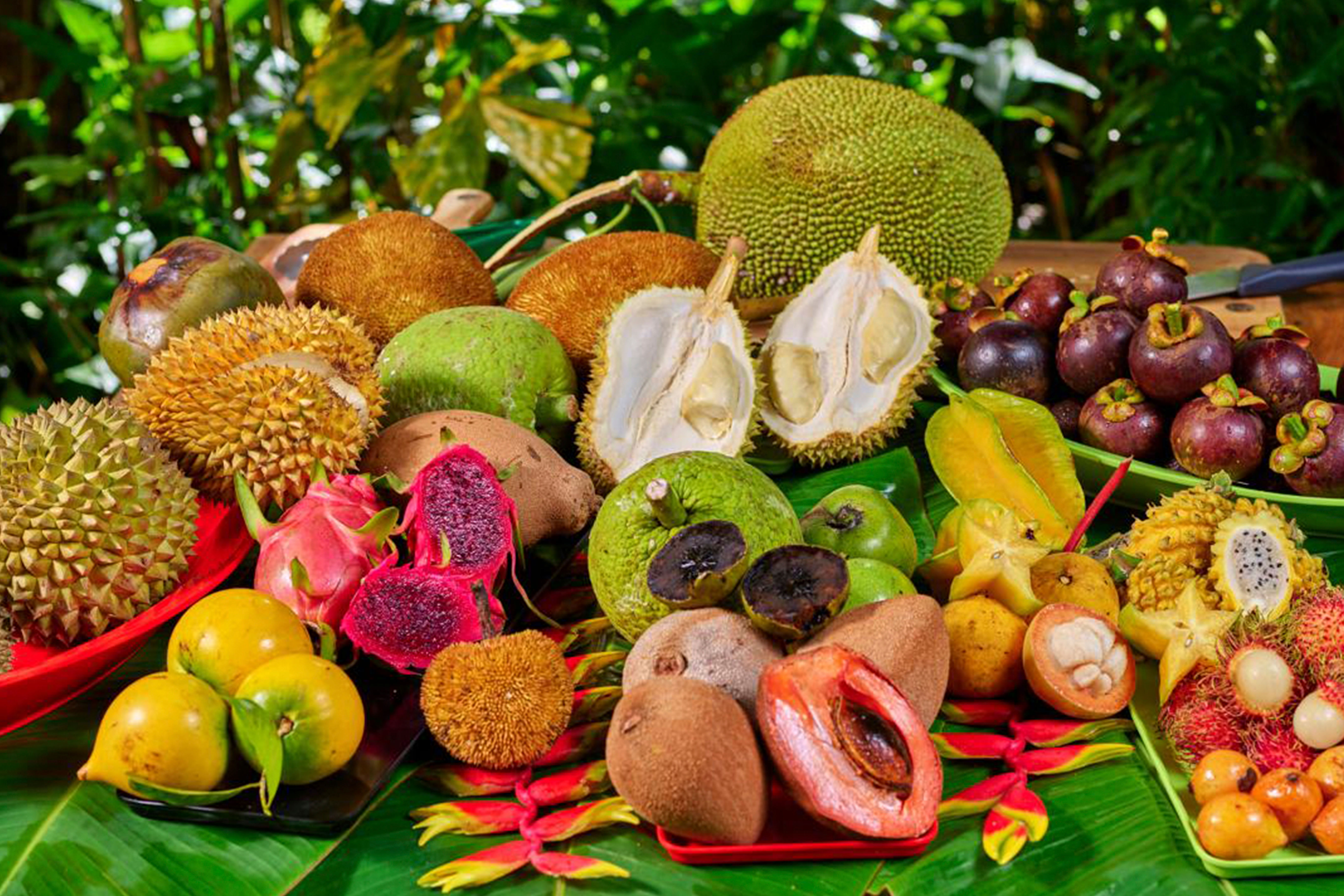 Tropical Fruit Tasting