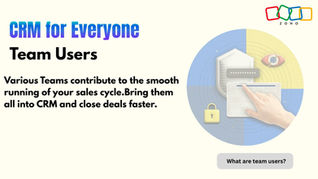 Zoho CRM Team users