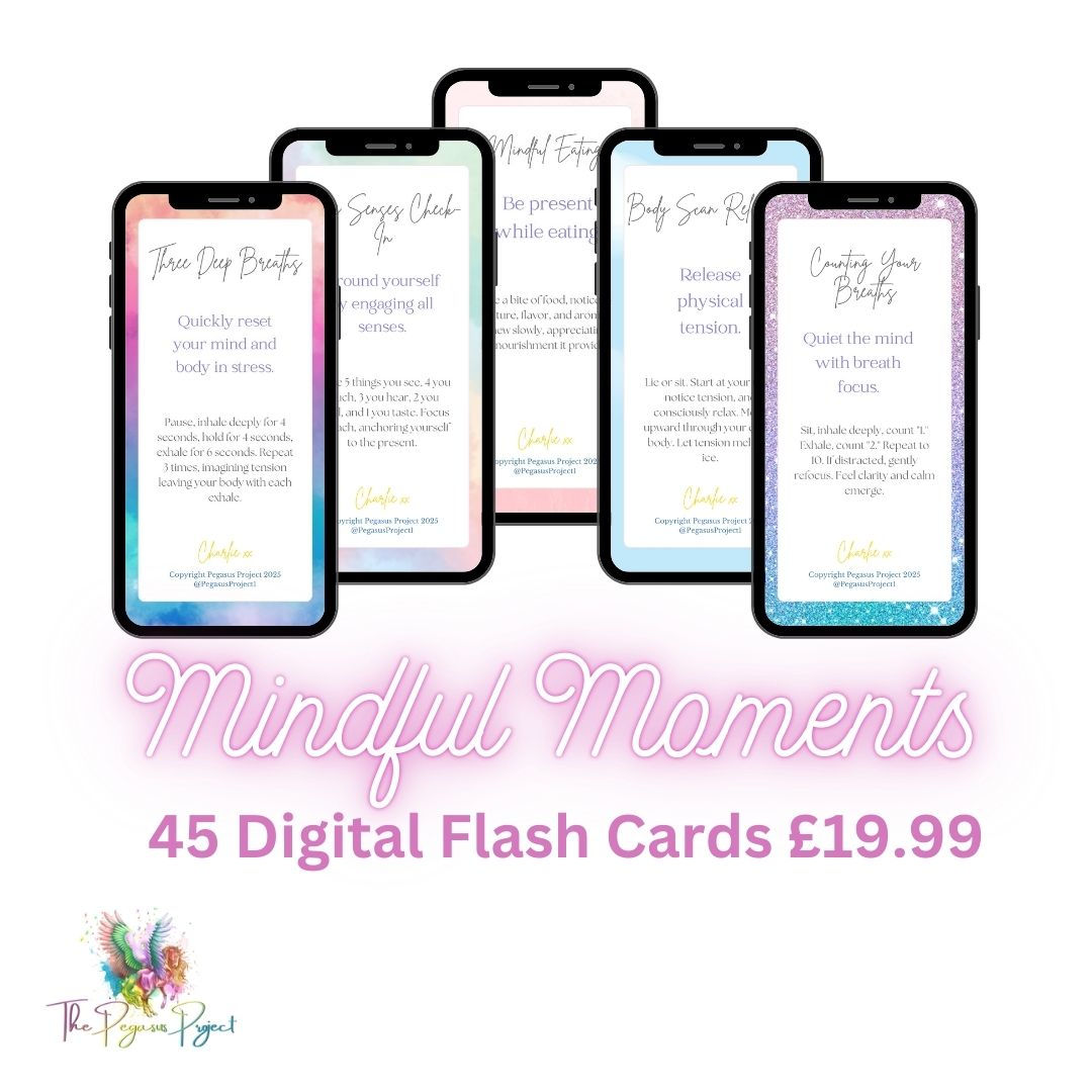 Digital Flash Cards