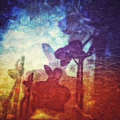 single-songs-cover-photo.jpeg