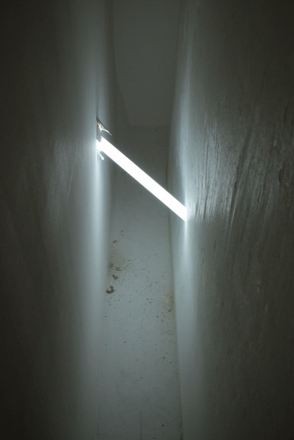 felix schramm ribot gallery contemporary art milan