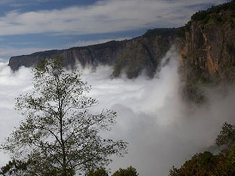 cloud floating places in Kodaikanal, floating clouds Kodaikanal, Kodaikanal clouds below viewpoint, misty places in Kodaikanal, foggy viewpoints in Kodaikanal, best cloud views in Kodaikanal
