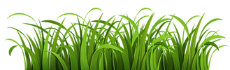 PNGPIX-COM-Grass-Vector-PNG-Transparent-