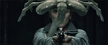 a961bd_8ee1747e151a4c738029604effa75e61~mv2.gif_256