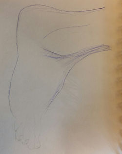 Pie Derecho, desde fuera