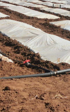 WhatsApp Image 2023-03-24 at 23.17.49.jpg