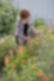 AndreaWork-0900.jpg