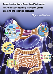Set 4 _ Digestive System_EN.png