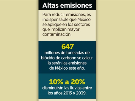 Plantean reducir 6% producción de gasolinas
