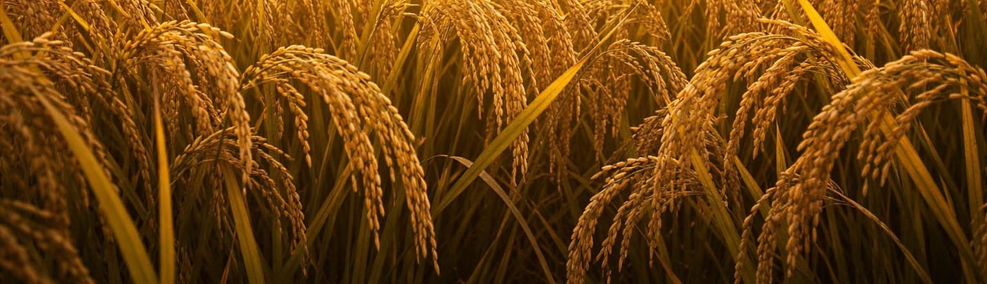 ChatGPT Image 2026年2月27日 15_44_31-3.jpg