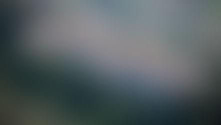 Laterina tra i romanzi del Premio Letterario il Borgo Italiano.