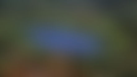 Sartirana tra i racconti del Premio Letterario il Borgo Italiano 2023 con Annalisa Sala