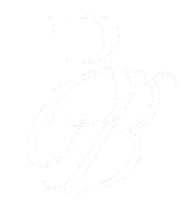 logo_white.png