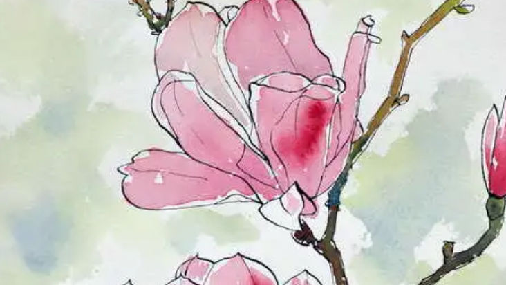 Free Ink & water colour flower Workshop - 11- 12.30 (1)