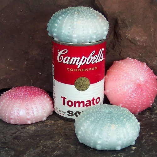 Thumbnail: Sea Urchin Soap Set of Two