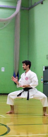 presentation of the kata during a karate seminar.