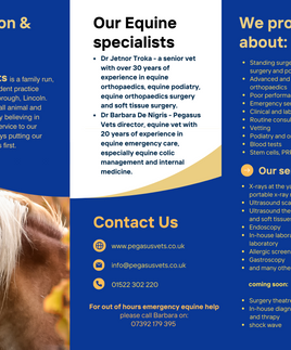 threefold leaflet design graphic design