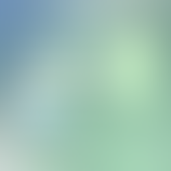 Ide Peluang Usaha (2026): Modal Kecil, Potensi Hasil Besar