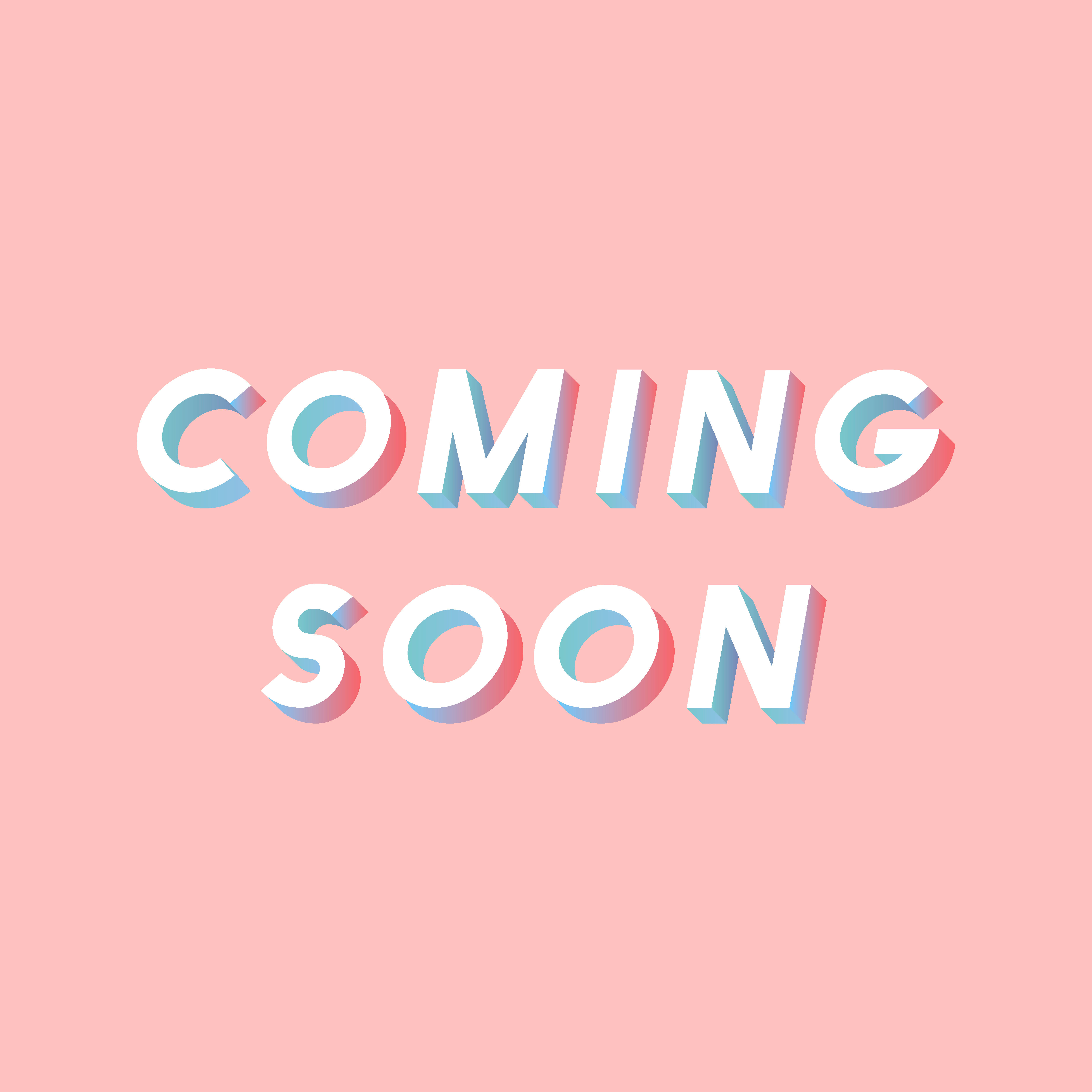 辣味碳燒豬肉乾