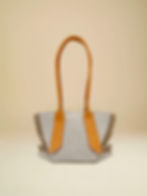 Mini Pinar Tote in Orange