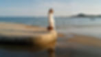 WEBSITE-BANNER.jpg