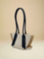 Mini Pinar Tote in Black