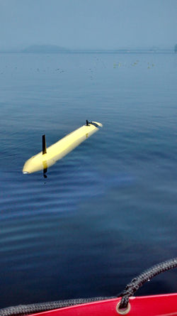 Sistemas embarcados para o AUV Pirajuba