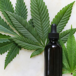 Medical Cannabis Patients Propelled the Global Discussion