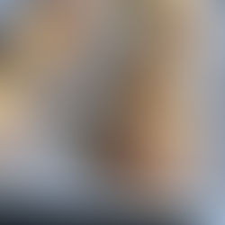 ホシノ天然酵母プロコースのレッスンで作るパンの写真