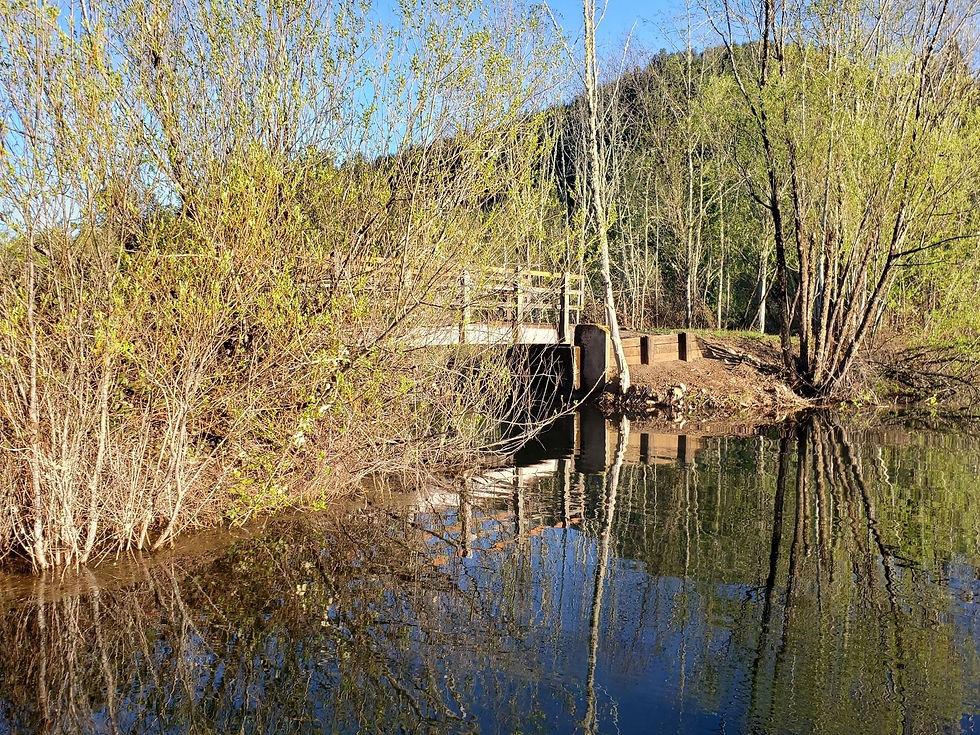 Sunnyside Campground.2