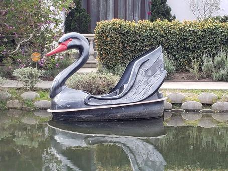 The Canals of Venice…Beach