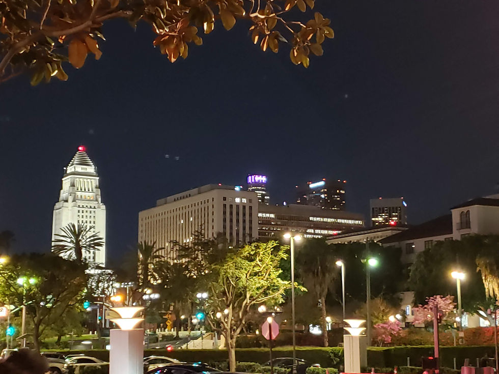 Coast Starlight LA -Metro.5