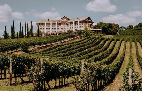 spa+vinho+vinhedos+hote+fachada.jpeg