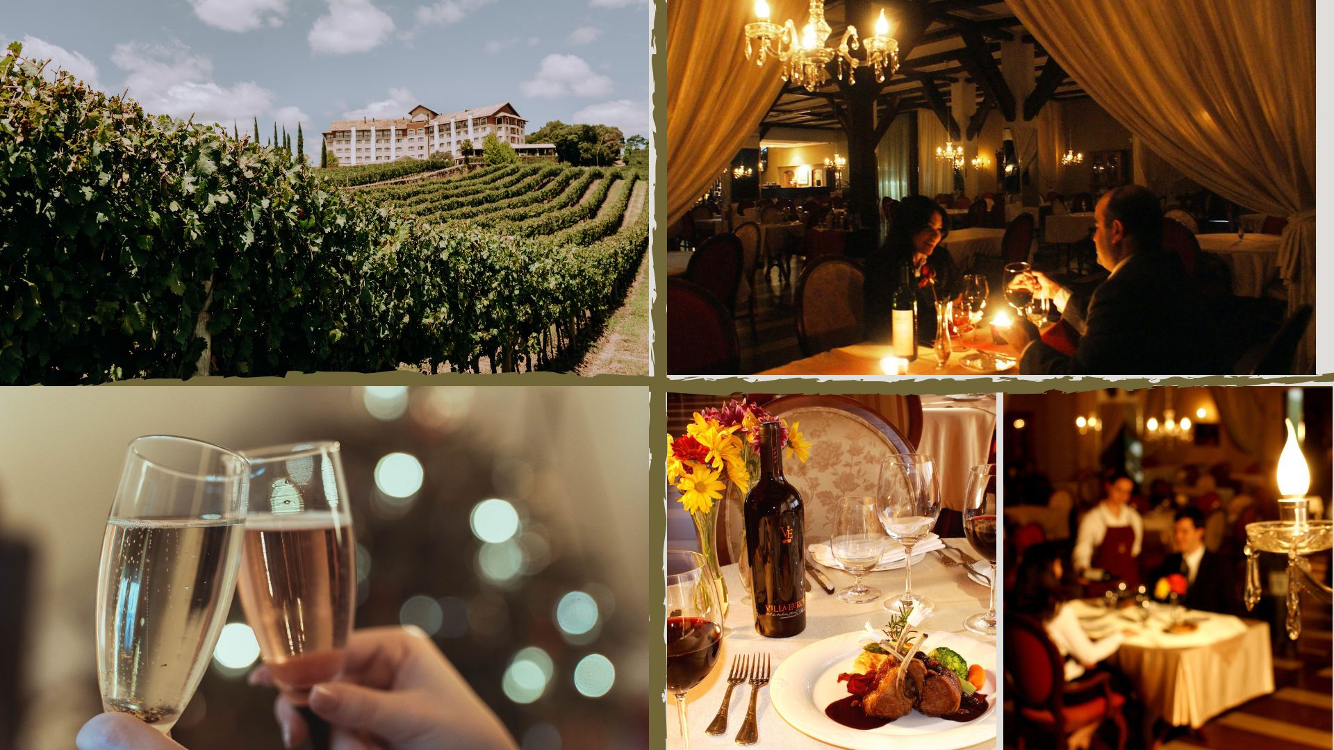 🍷 Jantar Mérica Mérica