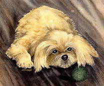 Brenda's dog003.jpg