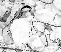 Chickadee