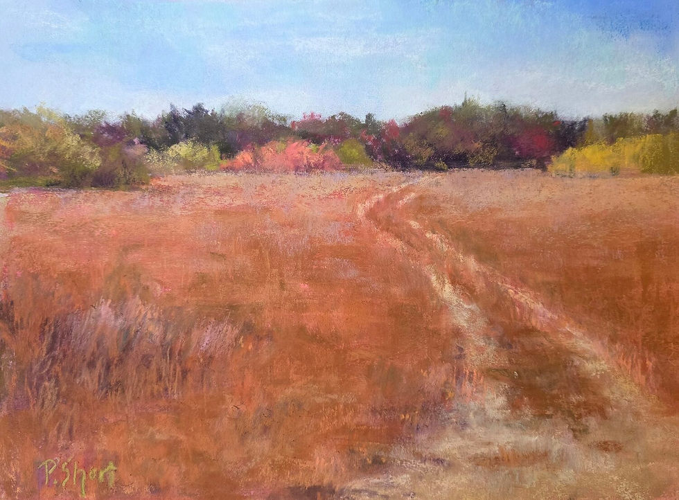 Harvest Light–3rd Place–Pam Short–Old Tractor Path