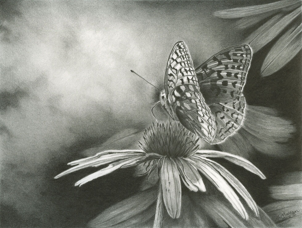 Late Summer Fritillary