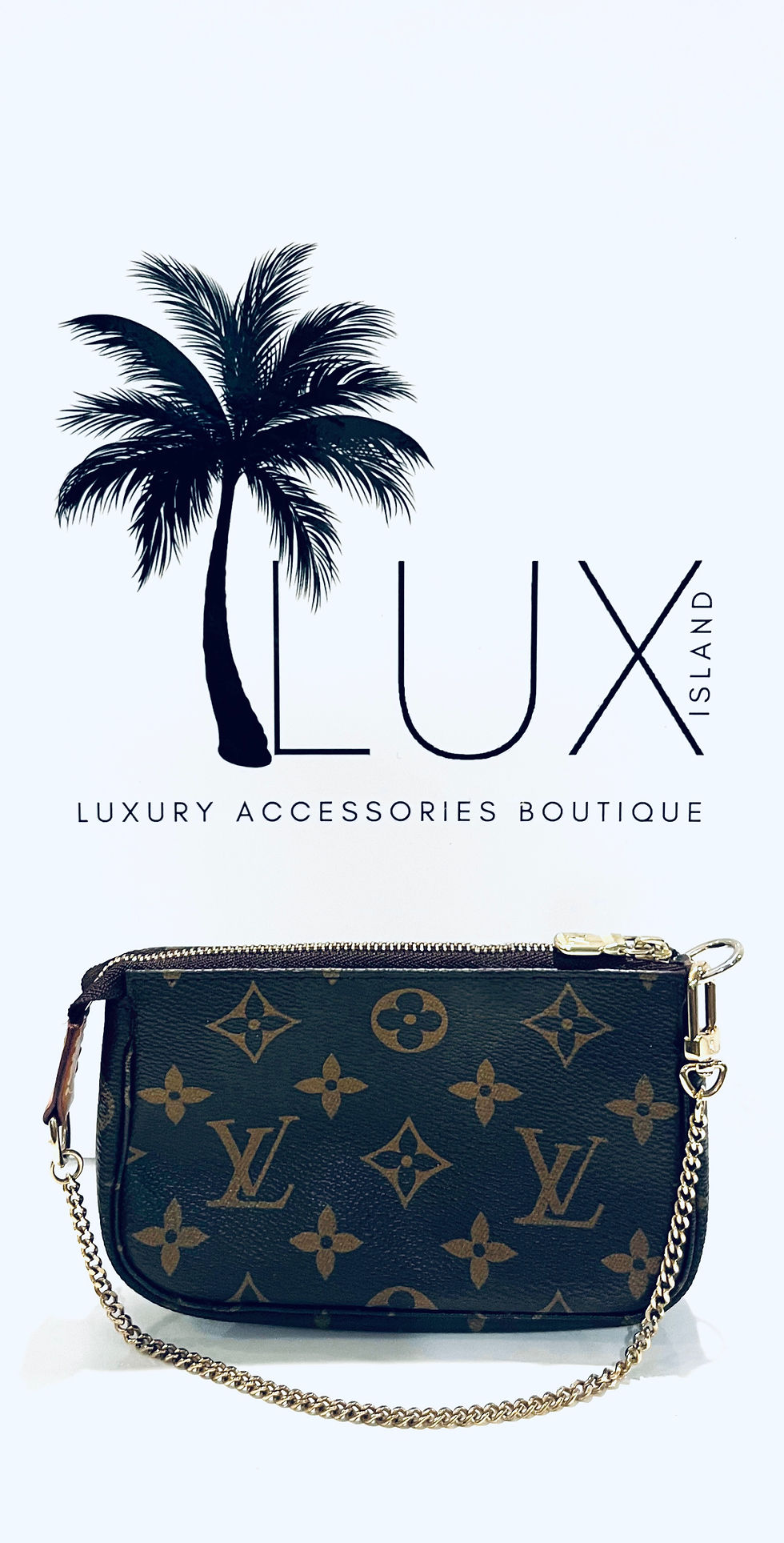 Louis Vuitton Monogram Mini Pochette