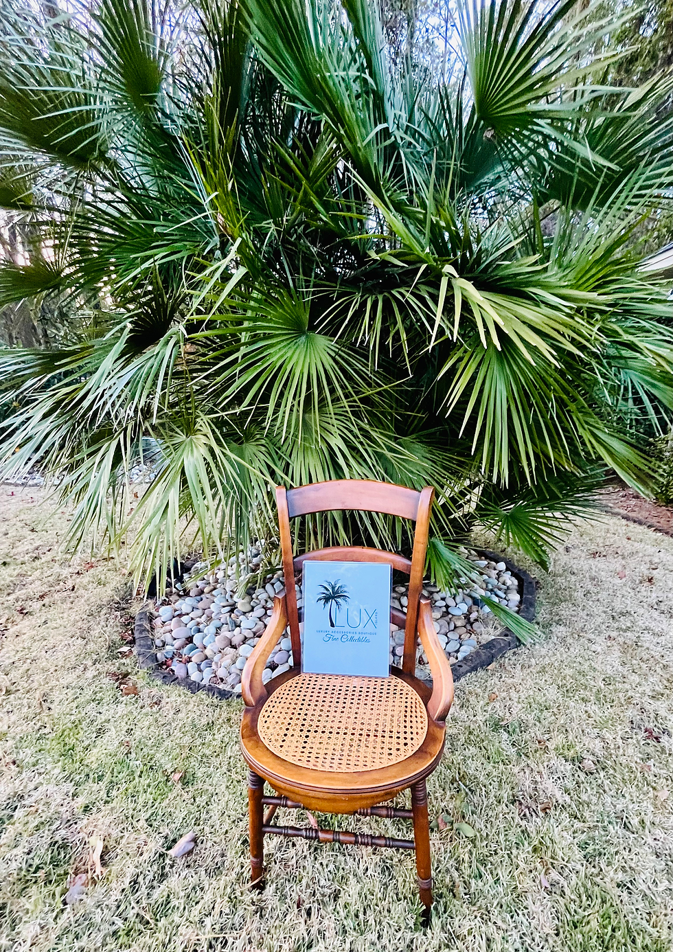 Late 19th Century Antique Mahogany Cane Seat Chair