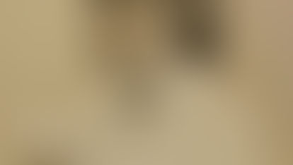 MONOGRAFIA BICHO DA SEDA